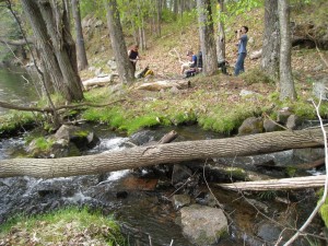 Frontenac Park Scenery